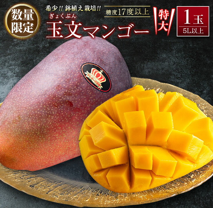 【ふるさと納税】数量限定 超希少 玉文マンゴー 鉢植え栽培 5L以上 1玉 期間限定 フルーツ 果物 くだもの 国産 食品 デザート おやつ 人気 おすすめ ご褒美 贅沢 お祝 お取り寄せ グルメ 産地直送 お土産 手土産 ギフト プレゼント 贈り物 贈答 宮崎県 日南市 送料無料のサムネイル