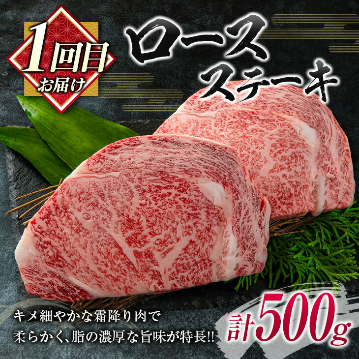宮崎県日南市の画像2