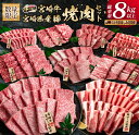 【ふるさと納税】数量限定 6か月 お楽しみ 定期便 宮崎牛 豚肉 焼肉 セット 総重量8kg以上 牛肉 ビーフ ポーク 黒毛和牛 ミヤチク モモ バラ 肩ロース...