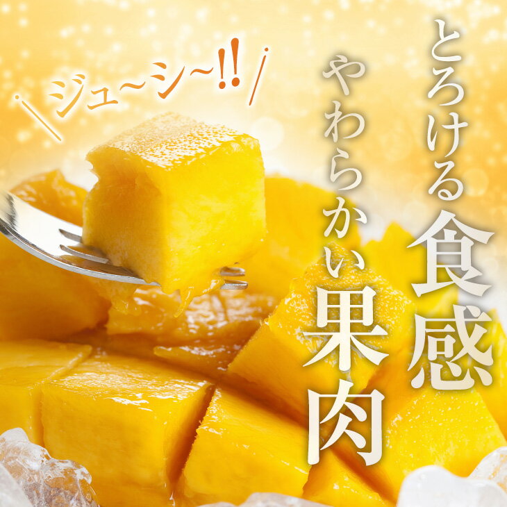 宮崎県日南市の画像2
