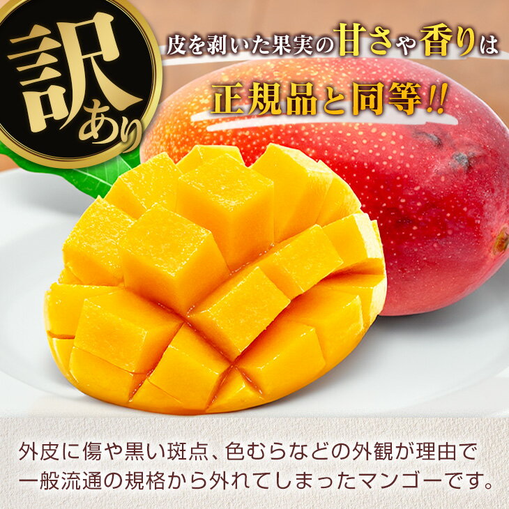 宮崎県日南市の画像3