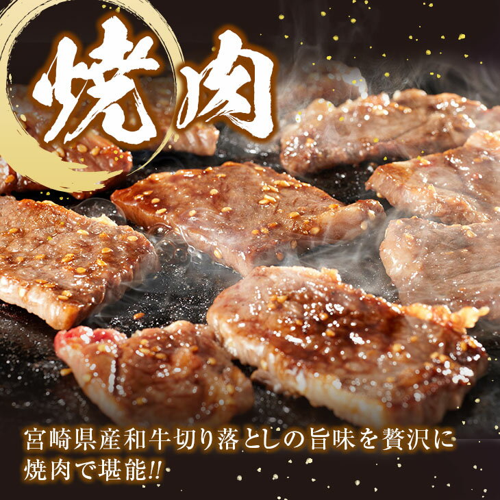 【ふるさと納税】訳あり 数量限定 宮崎県産 和牛 切り落とし 焼肉用 肉 牛 牛肉 国産 食品 お肉 焼き肉 送料無料