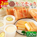 【ふるさと納税】手作り アイス カップ & モナカ セット 合計20個 スイーツ お菓子 食品 加工品 最中 なかつや 国産 おやつ デザート ご褒美 昔ながら...