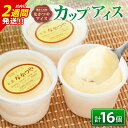 【ふるさと納税】手作り アイス カップ セット 計16個 スイーツ デザート おやつ 国産 食品 加工品 お菓子 氷菓 なかつや 昔ながら 懐かしの味 ご褒美 ...
