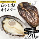 【ふるさと納税】数量限定 宮崎県産 ブランド 牡蠣 ひとしおオイスター 計20個 魚介 魚貝 かき 生食用 殻付き 国産 おかず おつまみ 食品 海鮮 海産物 ...