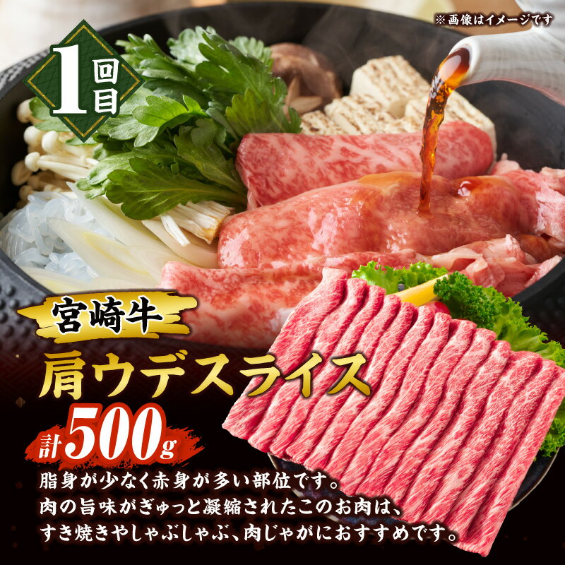 宮崎県日南市の画像3