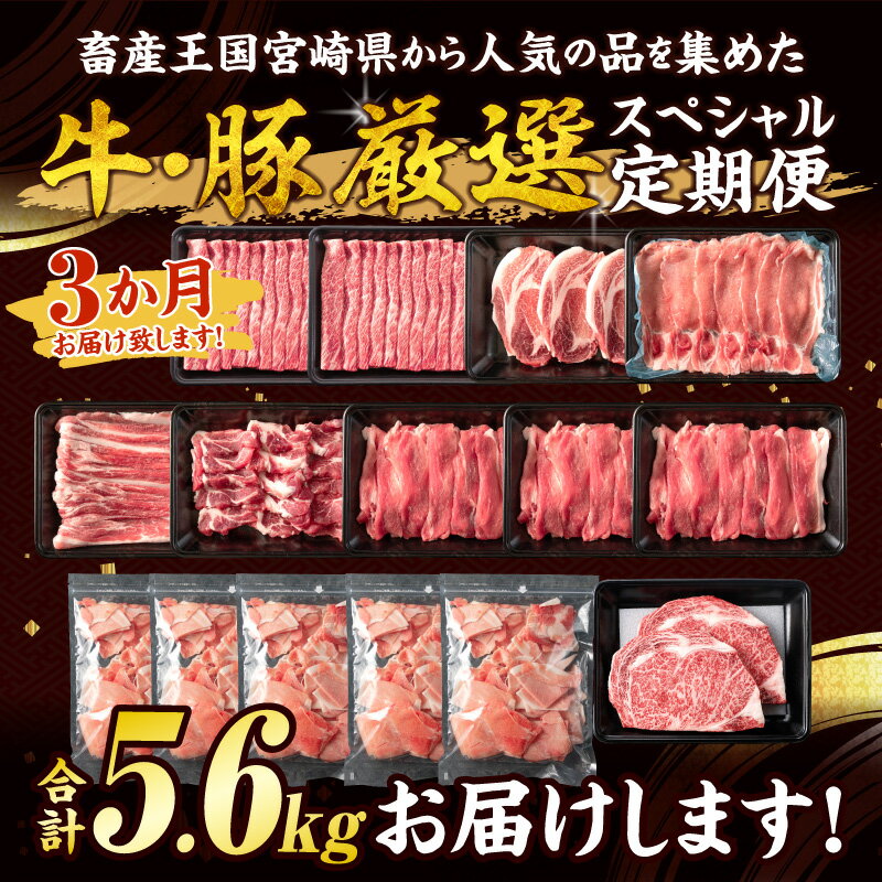 宮崎県日南市の画像2