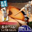 【ふるさと納税】\一口食べると分かるおいしさ!!/本かつお しょう油 なまぶし 500g 1.1kg 食品 加工品 国産 真空パック おすすめ 鰹 生ぶし 生節 おかず おつまみ サラダ ギフト プレゼント 贈り物 贈答 お取り寄せ おすそ分け 宮崎県 日南市 送料無料