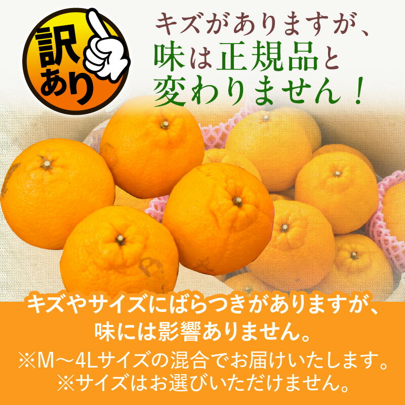 宮崎県日南市の画像3