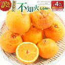 【ふるさと納税】先行予約 訳あり 不知火 計4kg以上 傷み補償分付き 期間限定 数量限定 フルーツ 果物 くだもの 柑橘 みかん しらぬい 令和8年発送 おやつ デザート ジュース 国産 食品 おすすめ ご褒美 産地直送 おすそわけ 家庭用 ネイバーフッド 宮崎県 日南市 送料無料