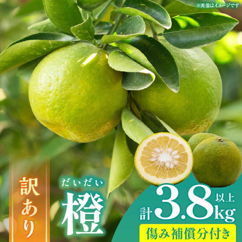 先行予約 訳あり 橙 だいだい 計3.8kg以上 傷み補償分付き 期間限定 数量限定 フルーツ 果物 くだもの みかん 柑橘 国産 食品 訳アリ 家庭用 おすそ分け おすすめ ポン酢 マーマレード ジャム 調味料 正月飾り 不揃い 傷 規格外 宮崎県 日南市 送料無料