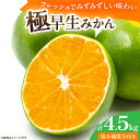 【ふるさと納税】極早生みかん 計4.5kg 傷み補償分付き 期間限定 果物 くだもの フルーツ 蜜柑 ミカン 柑橘 オレンジ おやつ デザート みかんジュース ...