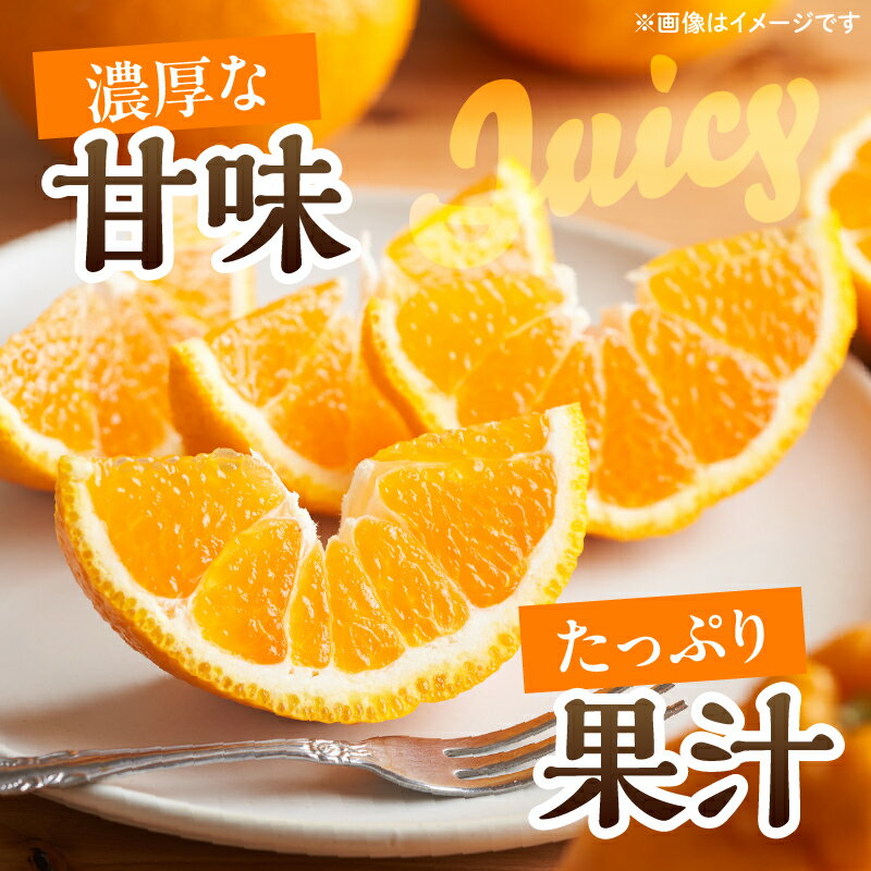 宮崎県日南市の画像2