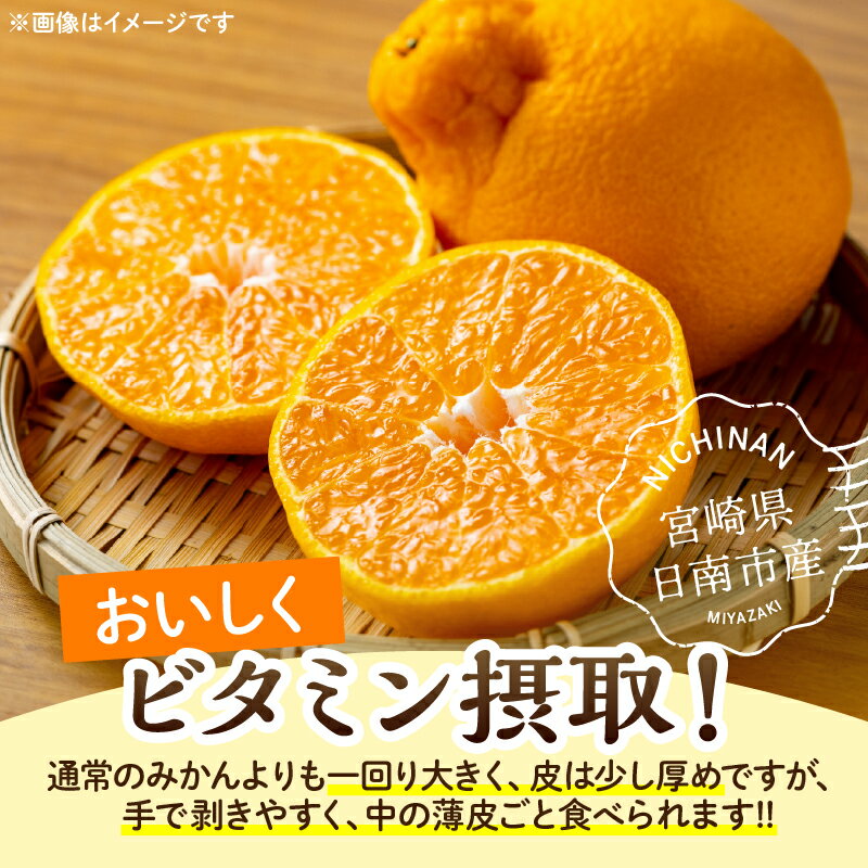 宮崎県日南市の画像3