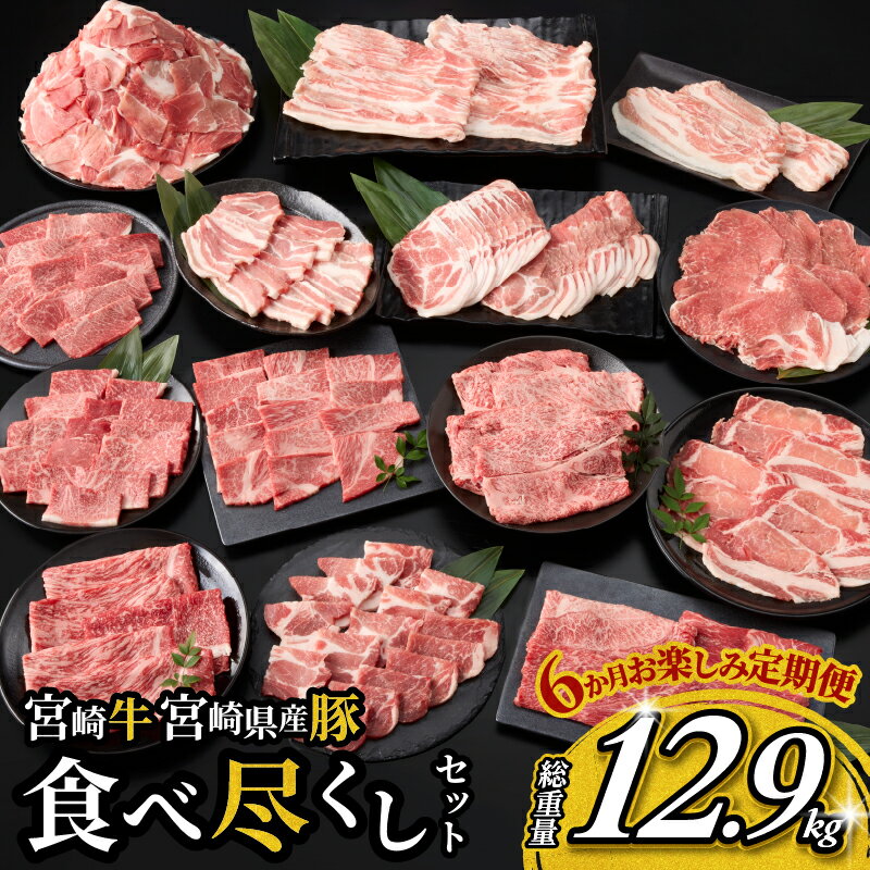 ڤդ뤵Ǽǡ6 ڤ  ܺ ܺ긩 ٿԤ å 12.9kg ̸ 6      µ ʬ...