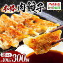 【ふるさと納税】焼くだけ!!簡単調理 ≪選べる≫ 本格 肉 餃子 100 ~ 300個 小分け ぎょうざ ギョーザ 加工品 国産 惣菜 戸村本店 特製餃子 自家製餃子 人気 おすすめ おかず おつまみ お弁当 おすそ分け お土産 贈り物 ギフト 贈答 プレゼント 宮崎県 日南市 送料無料
