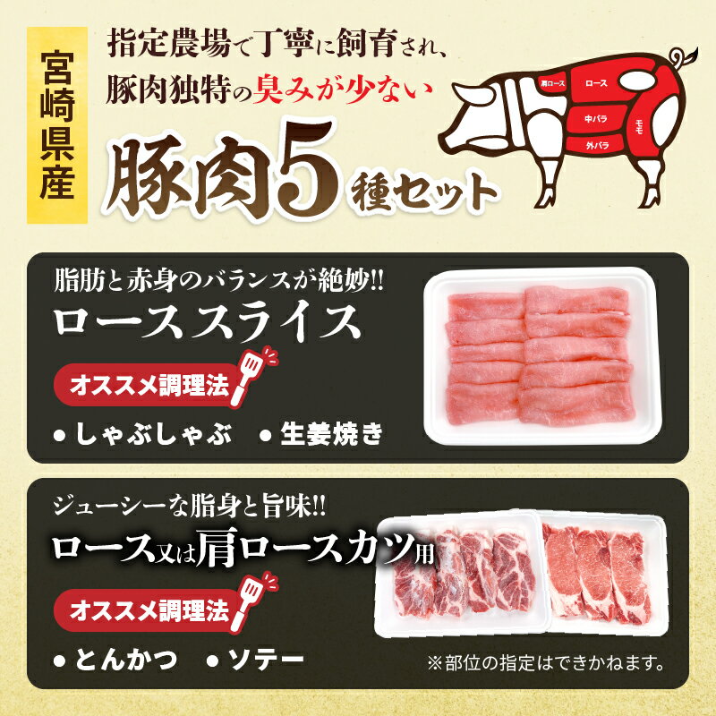 宮崎県日南市の画像3