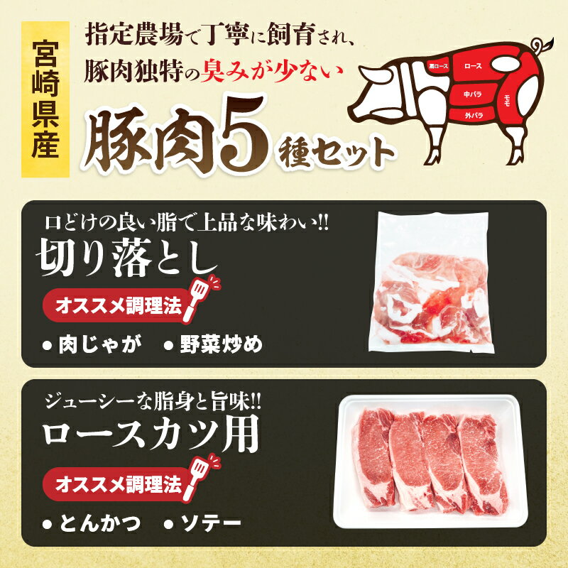 宮崎県日南市の画像3
