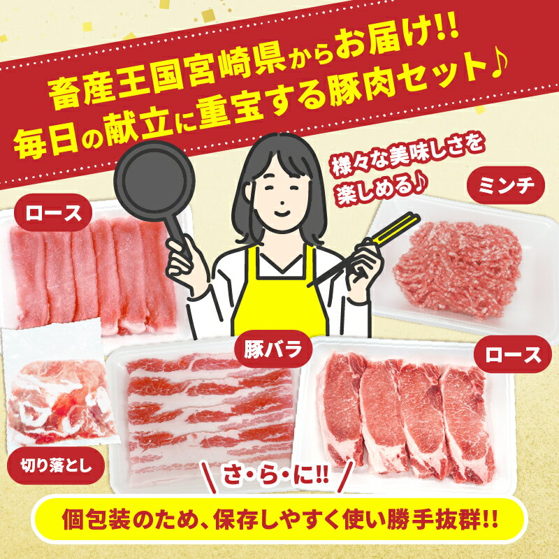 【ふるさと納税】宮崎県産 豚肉 5種 セット (合計5kg) 国産 食品 ロース 豚バラ スライス 切り落とし ミンチ しゃぶしゃぶ 生姜焼き とんかつ ソテー 豚丼 ハンバーグ 餃子 個包装 小分け おすすめ おかず お弁当 晩ご飯 手軽 便利 ギフト 贈り物 冷凍 日南市 送料無料