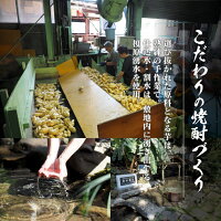 【ふるさと納税】井上酒造「おびすぎ」900ml×4本セット