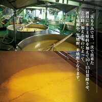 【ふるさと納税】井上酒造「おびすぎ」900ml×4本セット