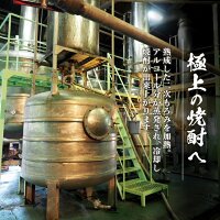 【ふるさと納税】井上酒造「おびすぎ」900ml×4本セット