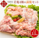 【ふるさと納税】数量限定 若鶏 4種 満腹 セット 合計3.5kg 鶏肉 チキン もも むね 手羽元 切り身 国産 食品 おかず お弁当 おつまみ 万能食材 焼肉 BBQ から揚げ 照り焼き 煮物 ご褒美 お祝い 記念日 おすすめ 冷凍 お取り寄せ グルメ 詰め合わせ 宮崎県 日南市 送料無料