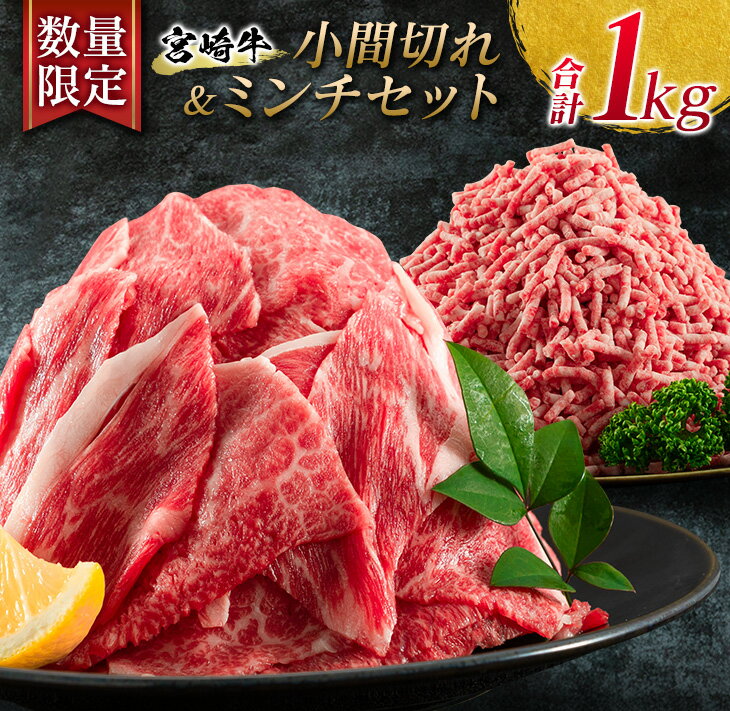 数量限定 宮崎牛 小間切れ ミンチ セット 合計1kg 牛肉 ビーフ 黒毛和牛 国産 ブランド牛 食品 こま切れ 牛ミンチ 挽肉 万能食材 ハンバーグ おすすめ おかず おつまみ お弁当 ご褒美 お祝い 記念日 詰め合わせ お取り寄せ グルメ 宮崎県 日南市 送料無料