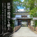 宮崎県日南市の画像2