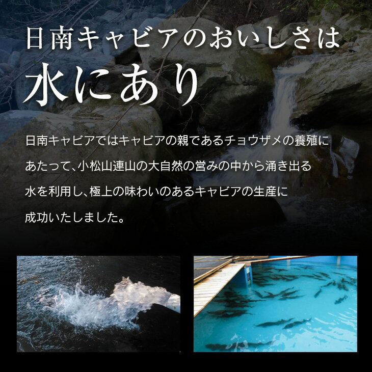 【ふるさと納税】キャビアフィッシュ スモーク 50g 日南 キャビア 4g 黄金 セット 燻製 加工品 魚介 魚貝 魚卵 海産物 食品 国産 世界三大珍味 黒いダイヤ 希少 贅沢 おつまみ おすすめ 高級食材 人気 お祝 おもてなし お取り寄せ グルメ 特産品 宮崎県 日南市 送料無料