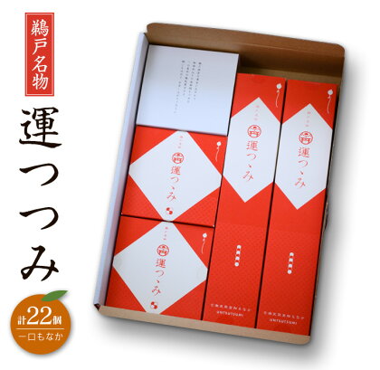 鵜戸名物 一口 もなか 運つつみ 計22個 和菓子 お菓子 完熟金柑 餡子 鵜戸神宮 運玉 最中 お茶菓子 詰め合わせ 縁起物 願掛け 願い事 贈り物 贈答品 ギフト スイーツ おやつ プレゼント あんこ お供え お取り寄せ グルメ おすそ分け 宮崎県 日南市 送料無料