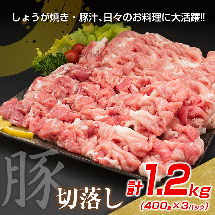 【ふるさと納税】数量限定 豚肉 切り落とし ミンチ 鶏肉 モモ肉 セット 合計3.7kg 国産 ポーク チキン ミート 食品 おかず お弁当 おつまみ 万能食材 大容量 ハンバーグ から揚げ 焼肉 炒め物 小分け 人気 おすすめ おすそ分け お取り寄せ グルメ 宮崎県 日南市 送料無料