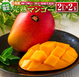 【ふるさと納税】≪数量限定≫希少「完熟マンゴー」2L以上×2玉　フルーツ　果物　国産　鉢植え栽培