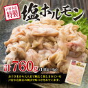 【ふるさと納税】数量限定 豚 ホルモン セット 合計1.6kg以上 豚肉 惣菜 国産 簡単調理 人気 おかず おつまみ 食品 おすすめ バーベキュー 焼肉 鉄板焼き 網焼き 塩 味噌 食べ比べ 戸村本店 特製 小分け おすそ分け お取り寄せ グルメ 詰め合わせ 宮崎県 日南市 送料無料 2