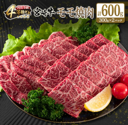 宮崎牛 モモ 焼肉 計600g 牛肉 ビーフ 黒毛和牛 赤身肉 国産 ブランド牛 おすすめ BBQ グランピング 鉄板焼き おもてなし ご褒美 お祝い 記念日 おすそ分け おかず おつまみ お弁当 お取り寄せ グルメ 4等級以上 A4ランク以上 冷凍 宮崎県 日南市 送料無料