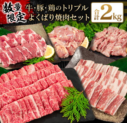 数量限定 牛肉 豚肉 鶏肉 トリプル よくばり 焼肉 セット 合計2kg 宮崎牛 ブランド牛 黒毛和牛 国産 食品 高級 贅沢 ご褒美 お祝 人気 おすすめ おかず お弁当 BBQ キャンプ グランピング お取り寄せ グルメ 詰め合わせ 大容量 宮崎県 日南市 送料無料