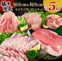 肉セット 【ふるさと納税】数量限定 豚肉 3種 鶏肉 2種 モリモリ 食べ比べ セット 合計5kg バラ 肩ロース ウデ モモ ムネ 赤身 国産 スライス 切り落とし 食品 お弁当 おかず 焼肉 しゃぶしゃぶ から揚げ 肉じゃが 万能食材 小分け 人気 大容量 おすすめ 宮崎県 日南市 送料無料