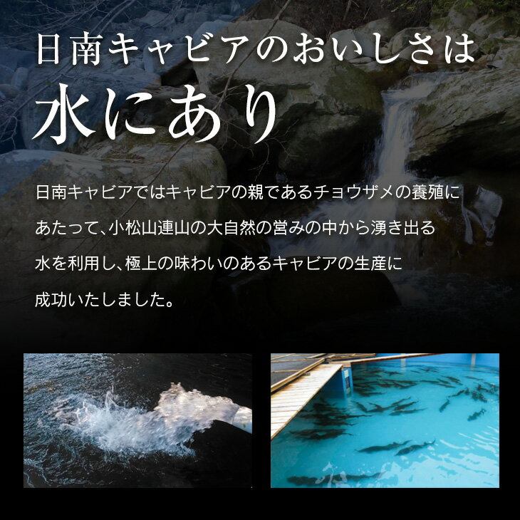 【ふるさと納税】数量限定 スターレット キャビア 計20g 魚卵 国産 小粒 魚介 魚貝 食品 加工品 コチョウザメ 世界三大珍味 希少 海産物 おつまみ おすすめ 人気 高級 贅沢 ご褒美 パーティー 前菜 オードブル お取り寄せ グルメ ギフト 贈答 特産品 宮崎県 日南市 送料無料