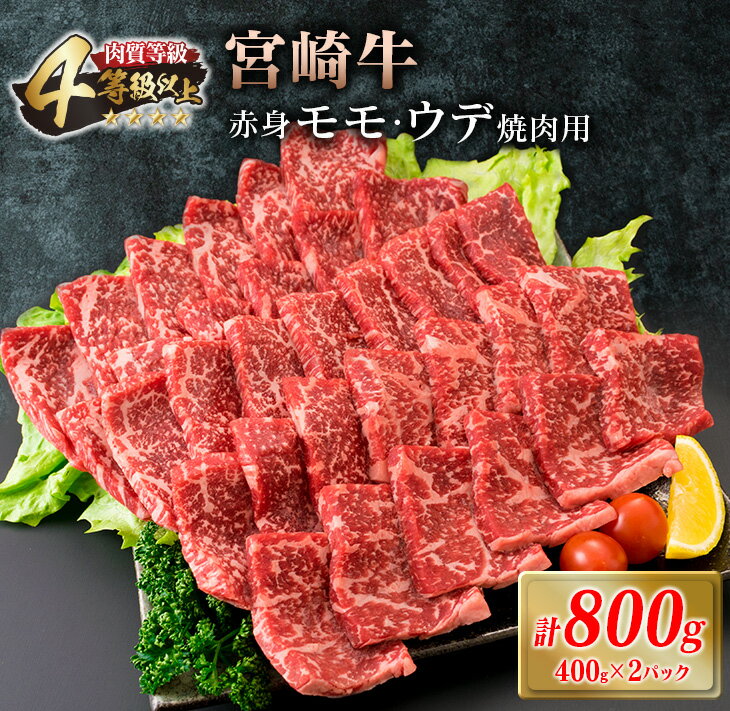 宮崎牛 赤身 モモ ウデ 焼肉 セット 計800g 牛肉 ビーフ 黒毛和牛 国産 ブランド牛 赤身肉 おすすめ おもてなし BBQ バーベキュー グランピング 鉄板焼き ご褒美 お祝い 記念日 詰め合わせ お取り寄せ グルメ 4等級以上 A4ランク以上 宮崎県 日南市 送料無料