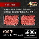 宮崎県日南市の画像2