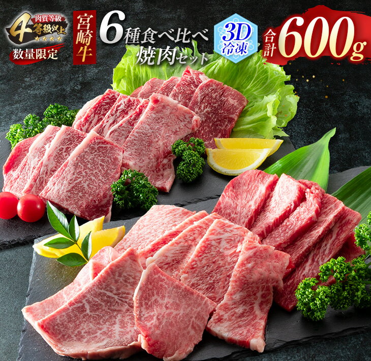 数量限定 宮崎牛 6種 食べ比べ 焼肉 セット 合計600g 牛肉 ビーフ 黒毛和牛 ミヤチク 3D冷凍 国産 ヒレ 肩ロース ウデ バラ モモ ブランド牛 おかず 食品 お取り寄せ グルメ 鉄板焼き 焼き肉 希少部位 上品 高級 贅沢 ご褒美 お祝 宮崎県 日南市 送料無料