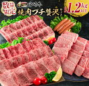 数量限定 宮崎牛 焼肉 プチ 贅沢 セット 合計1.2kg以上 牛肉 ウデ モモ バラ 粗挽き ウインナー 黒毛和牛 ミヤチク 国産 ブランド牛 おかず 食品 BBQ 鉄板焼き 高級 ご褒美 お祝 記念日 ギフト 贈り物 プレゼント お取り寄せ グルメ 宮崎県 日南市 送料無料