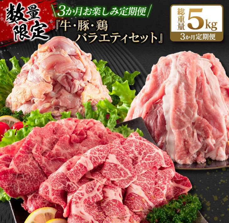 16位! 口コミ数「2件」評価「3」数量限定 3か月 お楽しみ 定期便 牛肉 豚肉 鶏肉 バラエティ セット 総重量5kg 宮崎牛 黒毛和牛 国産 ブランド牛 食品 おかず お･･･ 