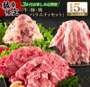 21位! 口コミ数「2件」評価「3」数量限定 3か月 お楽しみ 定期便 牛肉 豚肉 鶏肉 バラエティ セット 総重量5kg 宮崎牛 黒毛和牛 国産 ブランド牛 食品 おかず お･･･ 