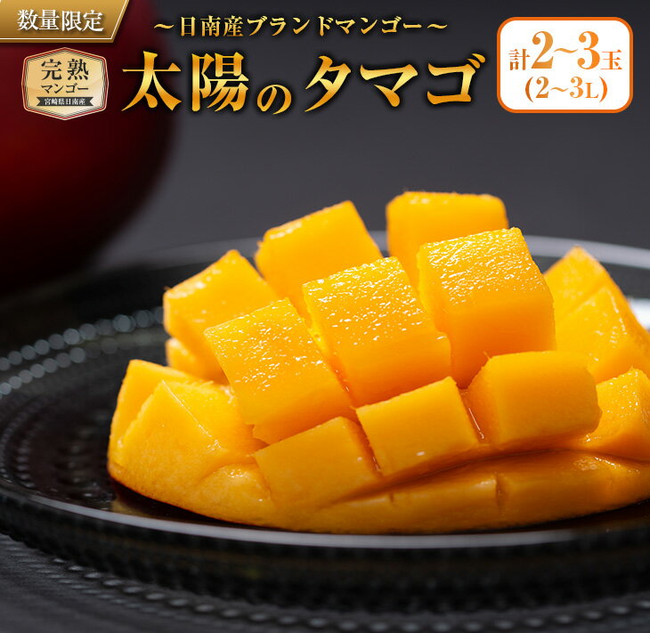 ≪数量限定≫完熟マンゴー「太陽のタマゴ」2〜3玉 フルーツ 果物 人気 国産