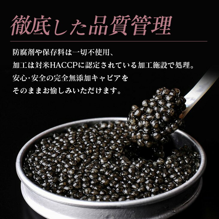 【ふるさと納税】数量限定 宮崎キャビア1983 プレミアム 12g 魚卵 魚介 魚貝 国産 食品 加工品 世界三大珍味 大粒 最高級 贅沢 上品 おすすめ ギフト プレゼント 贈答 贈り物 パーティー おもてなし ご褒美 お祝い 記念日 お取り寄せ グルメ 日南市 送料無料