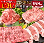 【ふるさと納税】年末年始限定≪5か月お楽しみ定期便≫宮崎牛＆県産豚セット(総重量5.9kg)　肉　牛肉　豚肉　国産