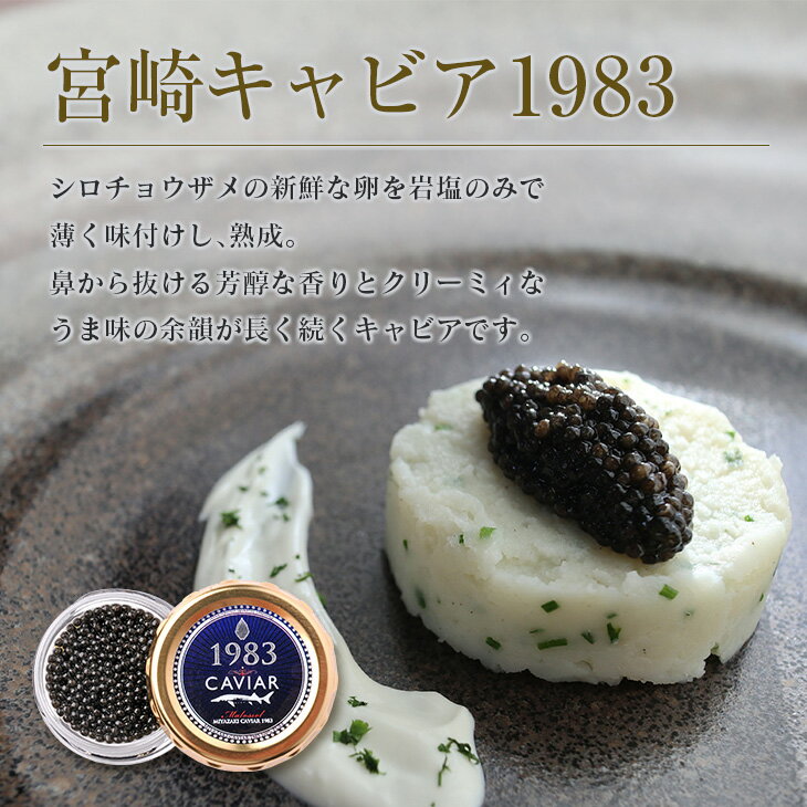 【ふるさと納税】数量限定 宮崎キャビア1983 ＆ 1983 JCAVIAR オシェトラ クラシック セット 合計40g 魚卵 魚介 魚貝 おつまみ 世界三大珍味 高級食材 希少 グルメ 贅沢 ご褒美 加工品 熟成 冷凍 お土産 ギフト プレゼント 贈り物 お取り寄せ 宮崎県 日南市 送料無料