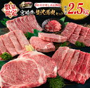 【ふるさと納税】数量限定 6か月 お楽しみ 定期便 宮崎牛 贅沢 満喫 セット 総重量2.5kg 黒毛和牛 ブランド牛 牛肉 国産 ビーフ 人気 食品 焼肉 ス...