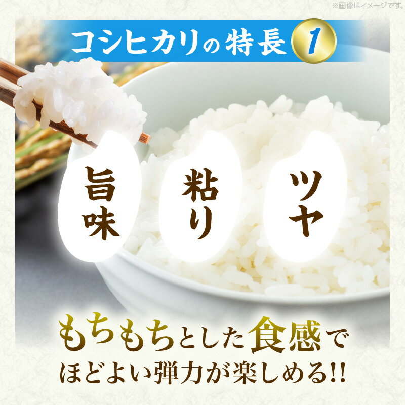 宮崎県日南市の画像3
